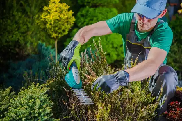 landscaping services Hide-A-Way Lake